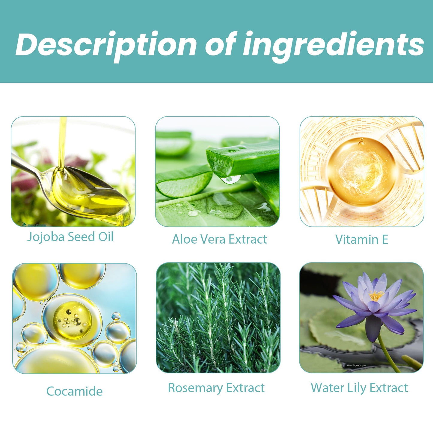 Moisturizing shower oil for dry skin with jojoba seed oil aloe vera vitamin E cocamide rosemary and water lily extracts