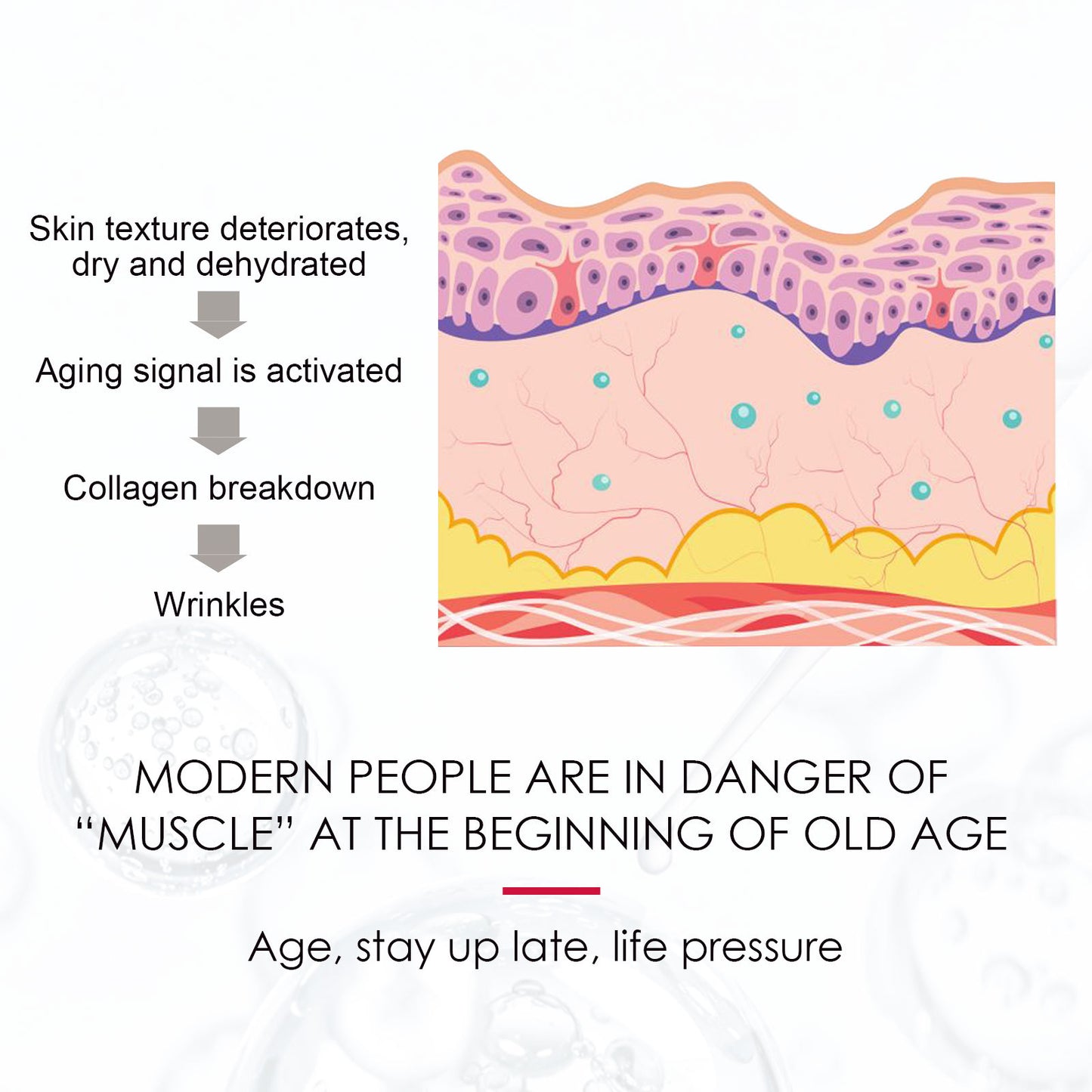 Diagram showing skin aging process with collagen breakdown causing wrinkles and skin deterioration