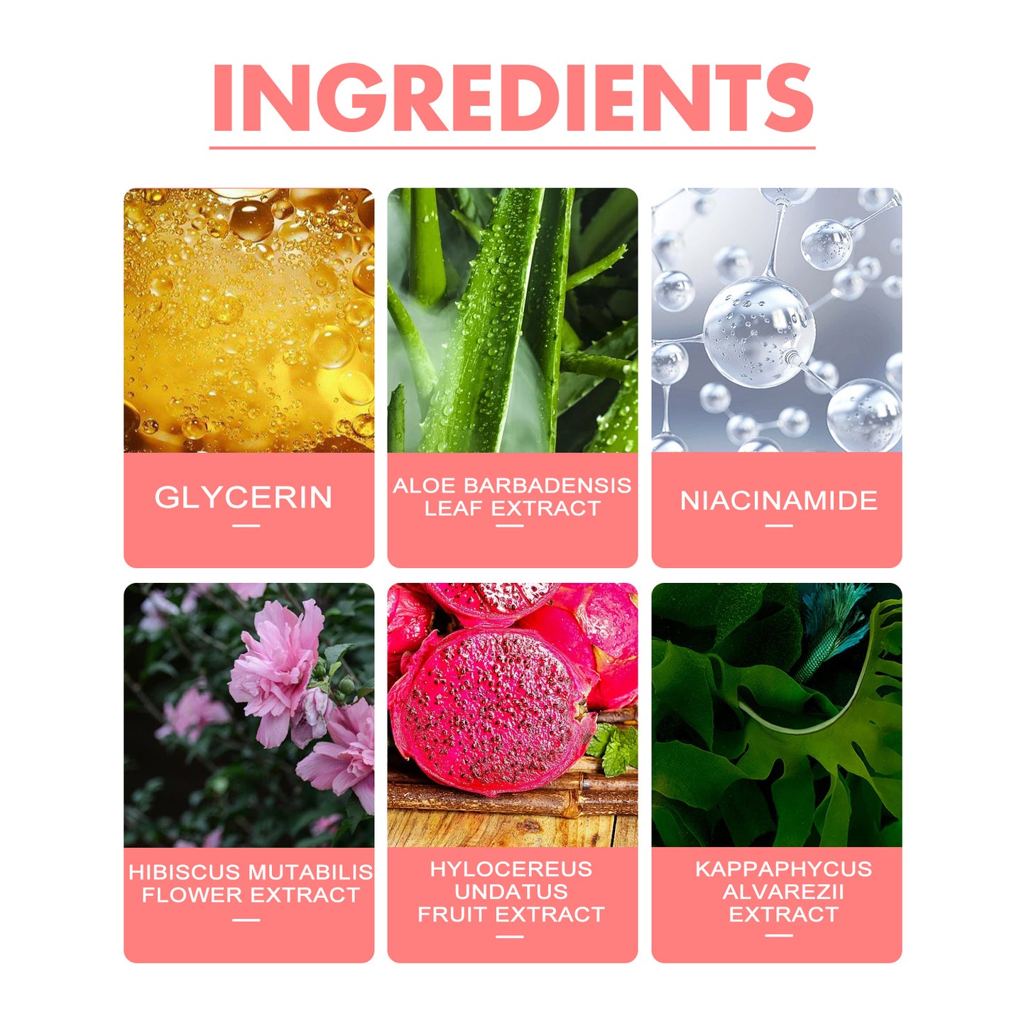 Ingredients of LUNIVA CARE USA blush including glycerin aloe leaf niacinamide and natural extracts for skin-toning blush for natural look